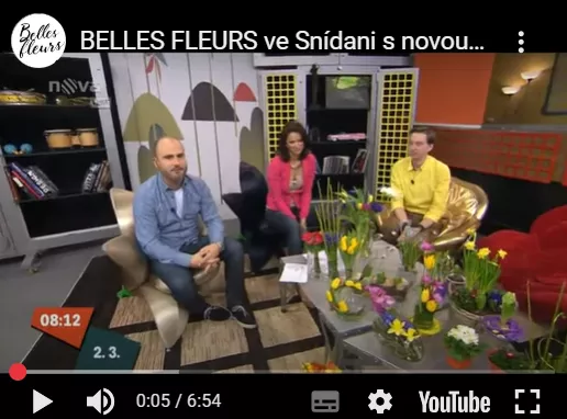 Snímek obrazovky 2025-04-30 111616.png